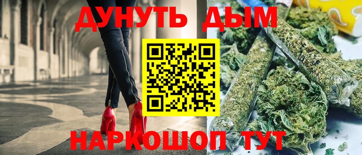 Бошки Шишки планчик Сальск